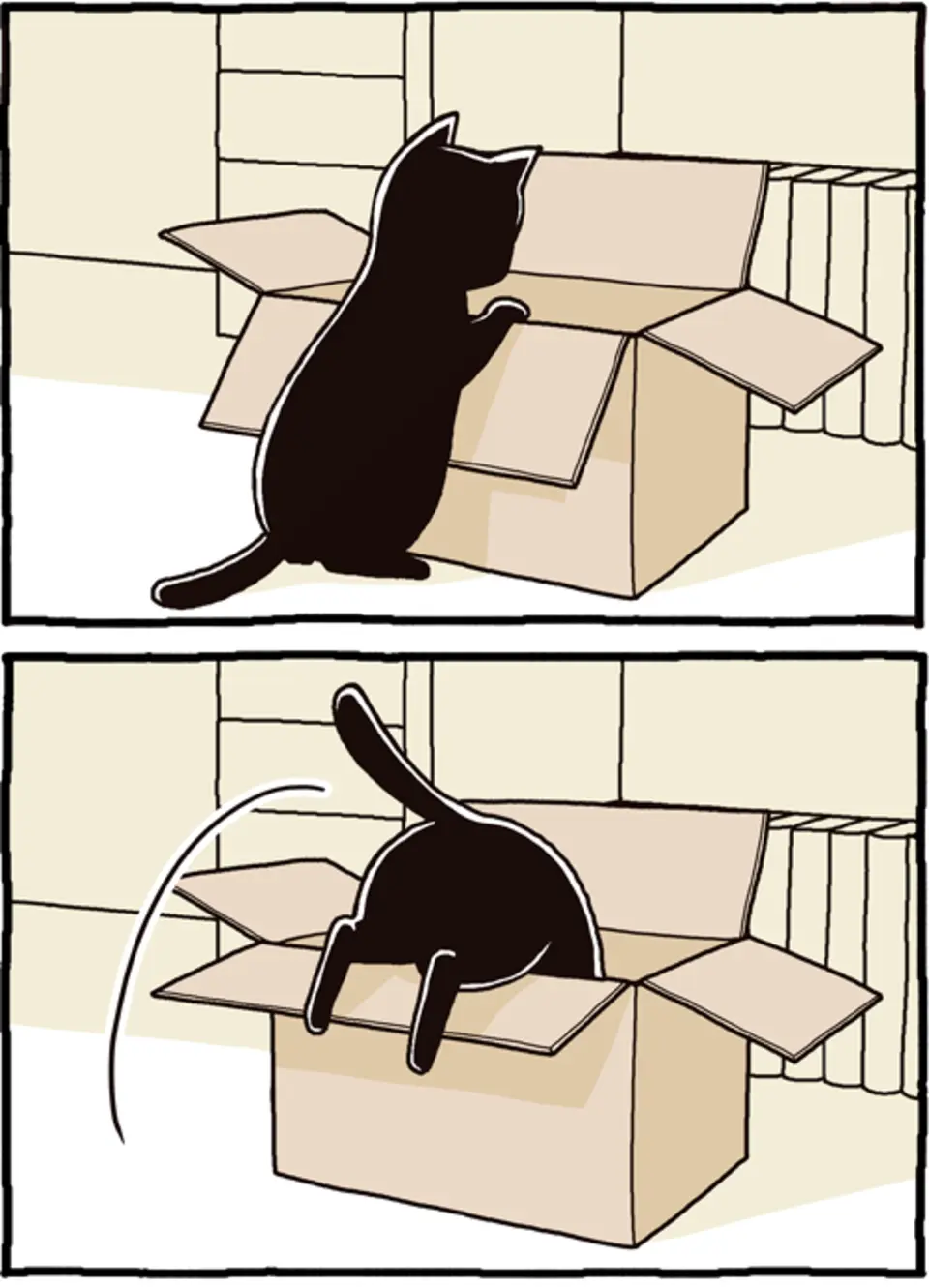 Сколько кошек можно засунуть в коробку. Кошка в коробке. Кот в коробке рисунок. Коробка для кота. Рисовать кота в коробке.