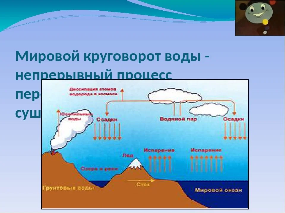 На Фотографиях Разные События В Круговороте Воды