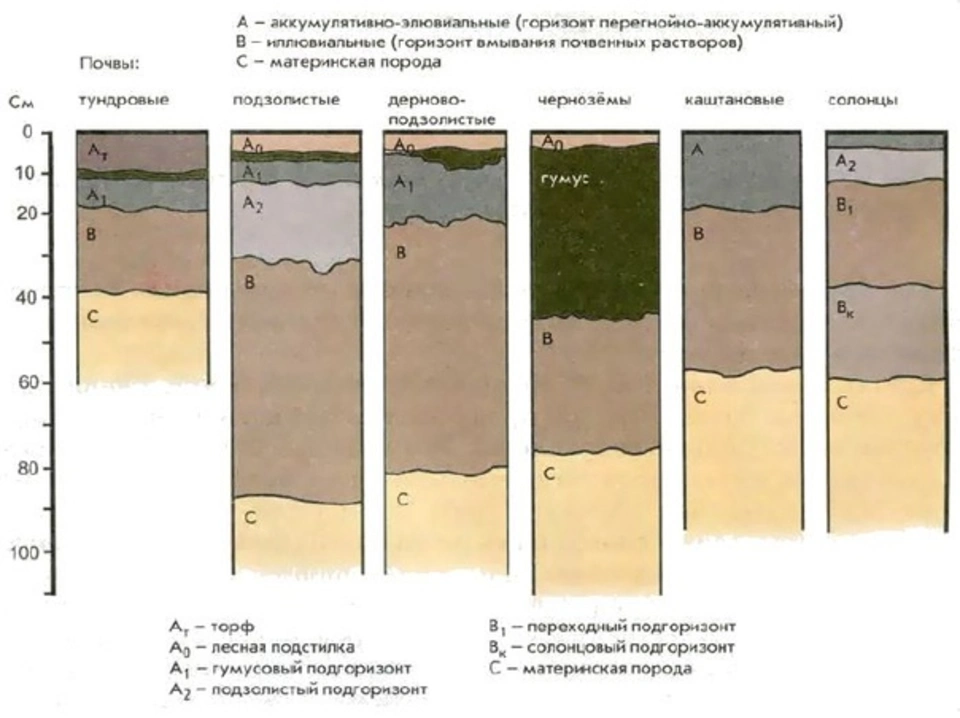 Какую толщину может достигать почва. Строение почвы почвенные горизонты. Структура почвы почвенные горизонты. Строение почвенного профиля почвенные горизонты. Почвенный профиль чернозема схема.