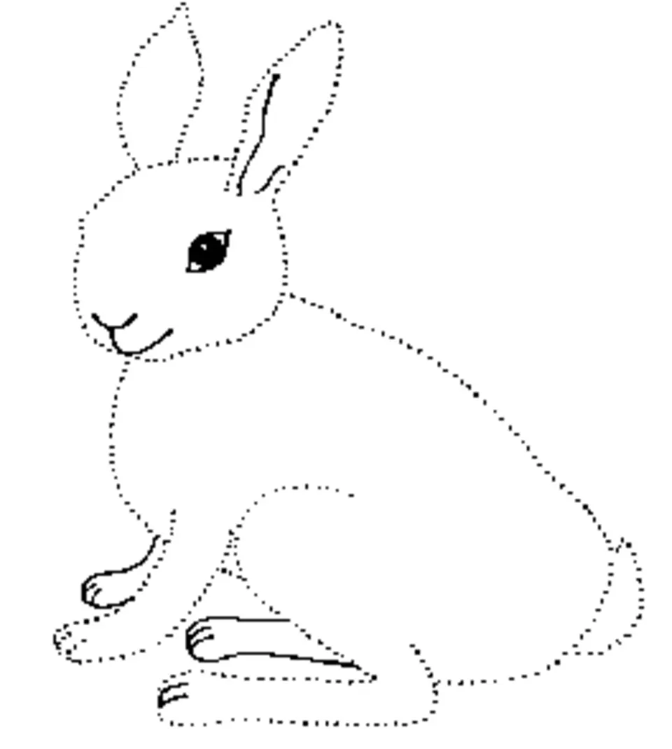 Заяц раскраска