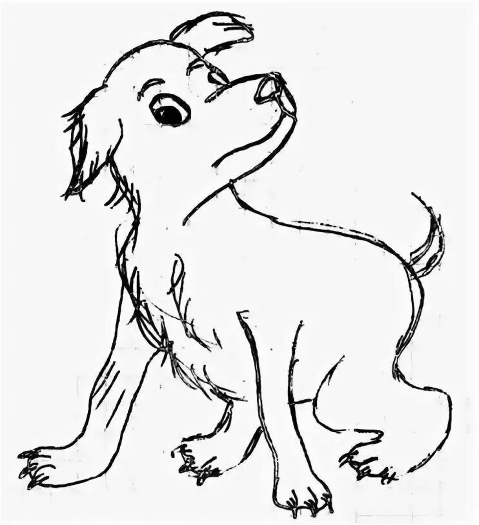 Рисунок барбос и жулька 4 класс легко. Барбос Куприн. Раскраска собачка дворняжка. Собака раскраска для детей. Рисунок дворняги для срисовки.