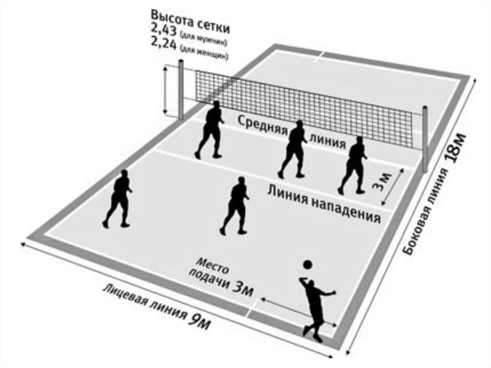 Сколько метров боковая линия на волейбольной площадке. Площадка для пионербола схема. Схема волейбольной площадки с размерами и зонами. Правила игры в волейбол схема. Волейбольная площадка рисунок схема.