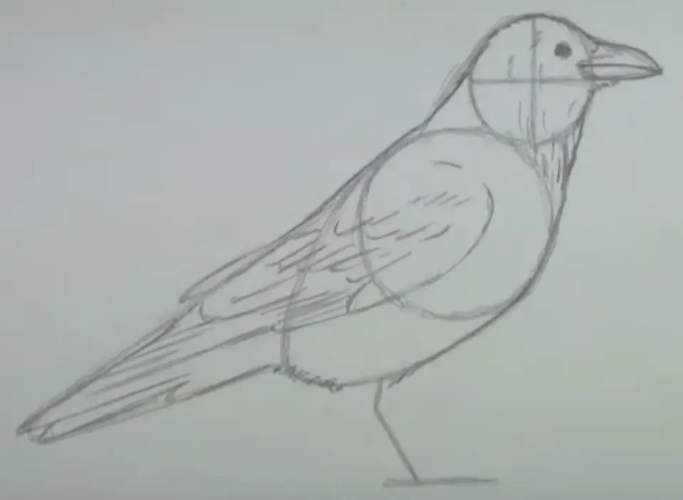 Рисование ворона