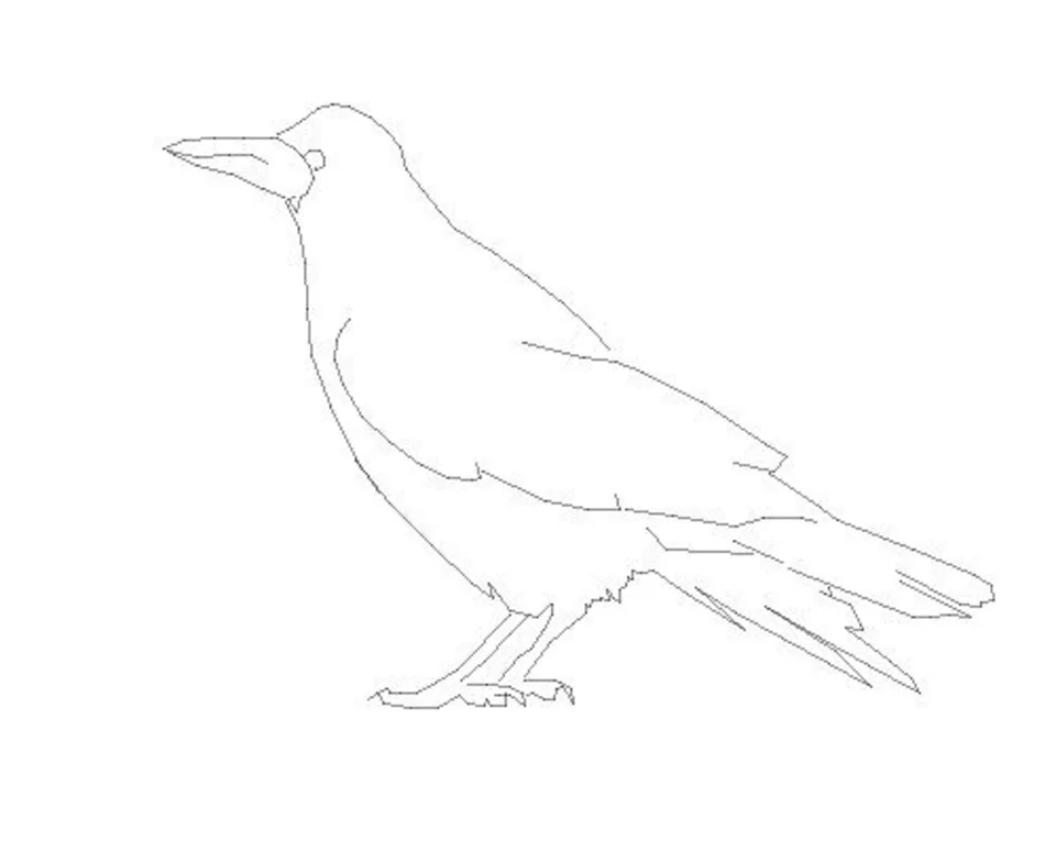 Ворона рисунок карандашом для детей