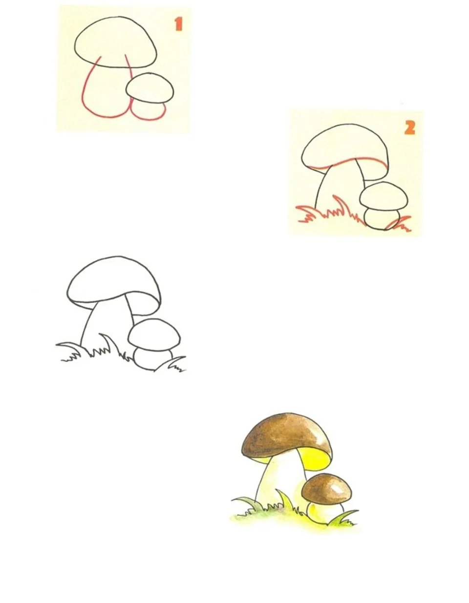 Поэтапное рисование гриба