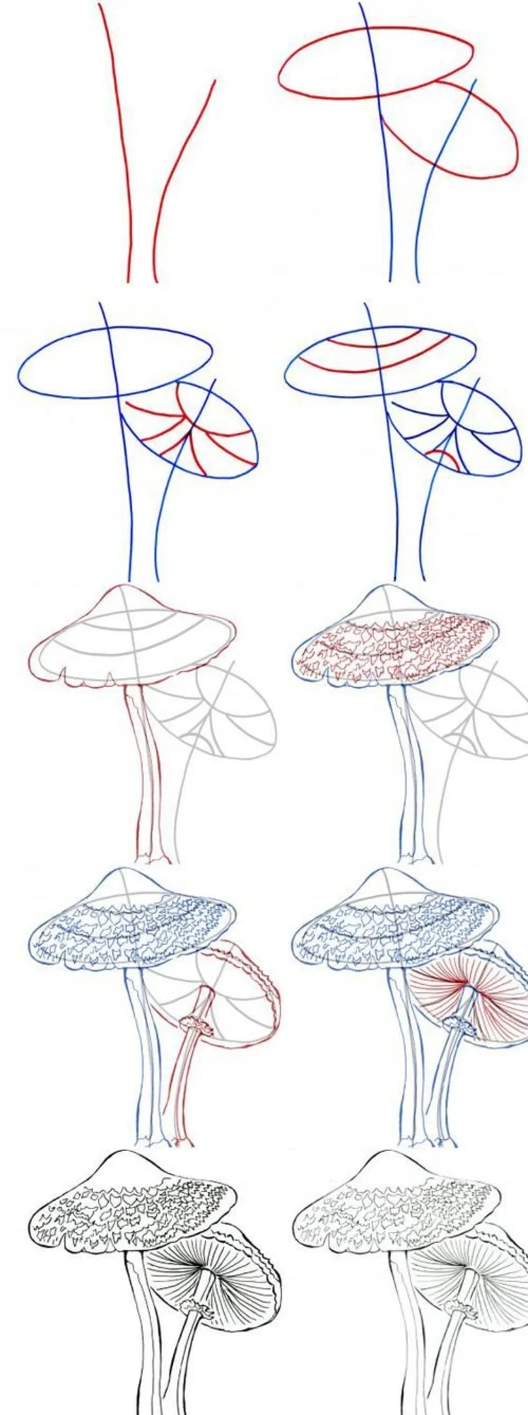 Рисуем грибы поэтапно
