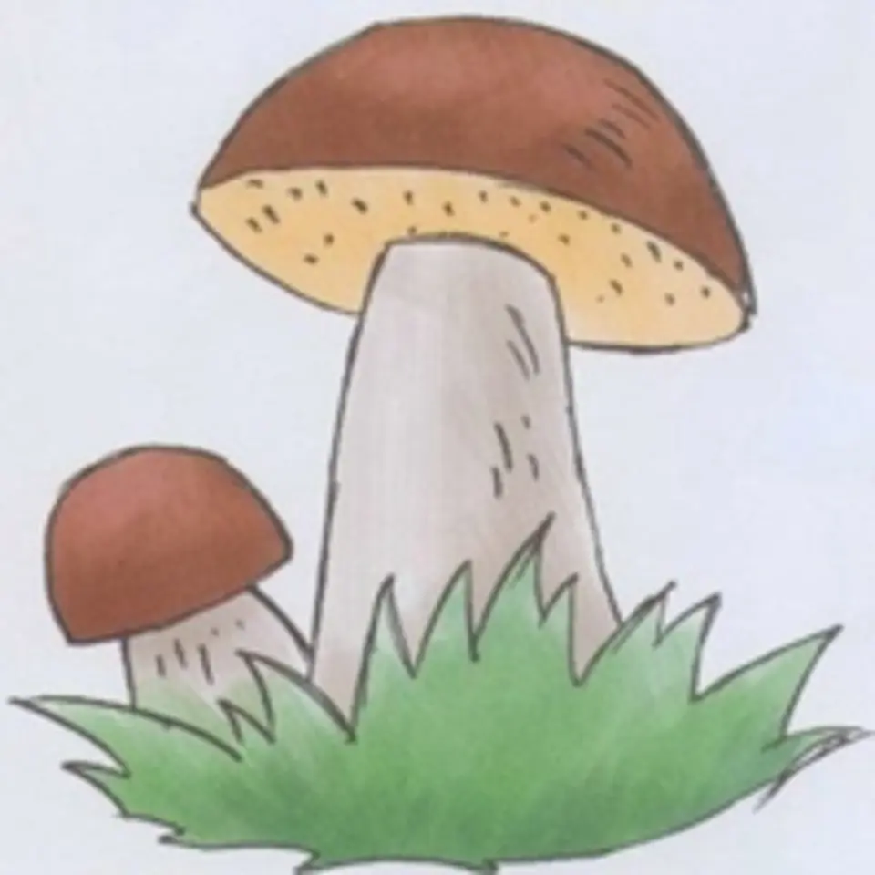 Рисунок гриба для детей
