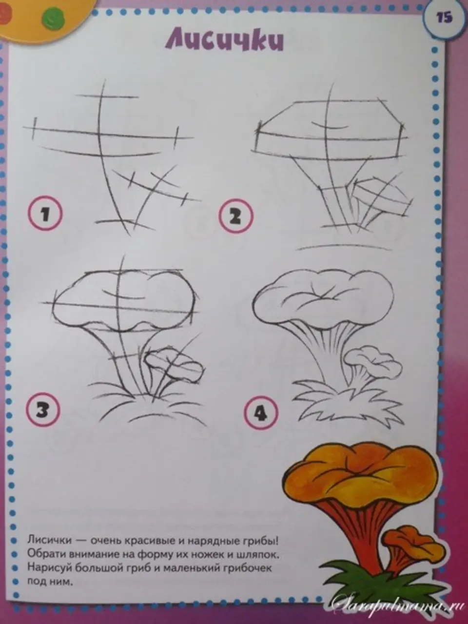 Лисички грибы рисунок
