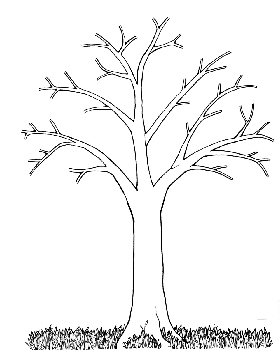 Шаблон дерева без листьев для рисования