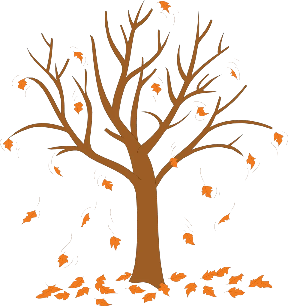 Дерево с опадающими листьями для детей