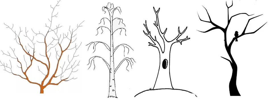 Рисунок дерево без листьев