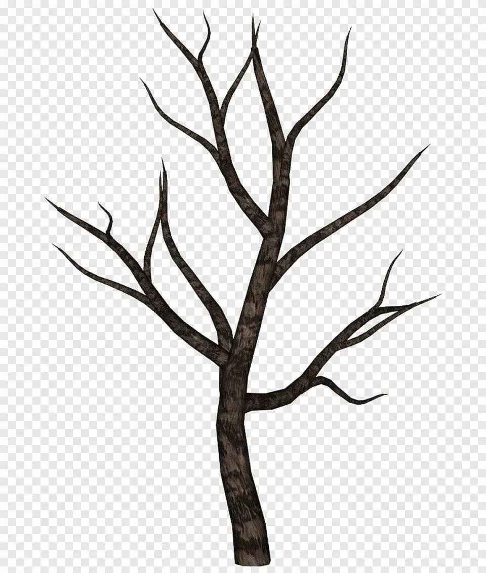 Дерево с веткой