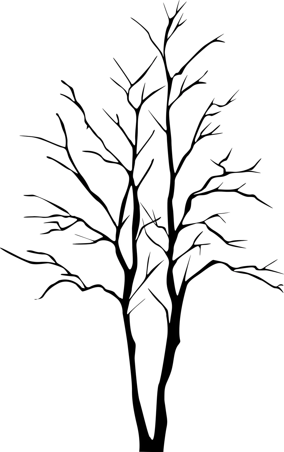 Веточка дерева рисунок
