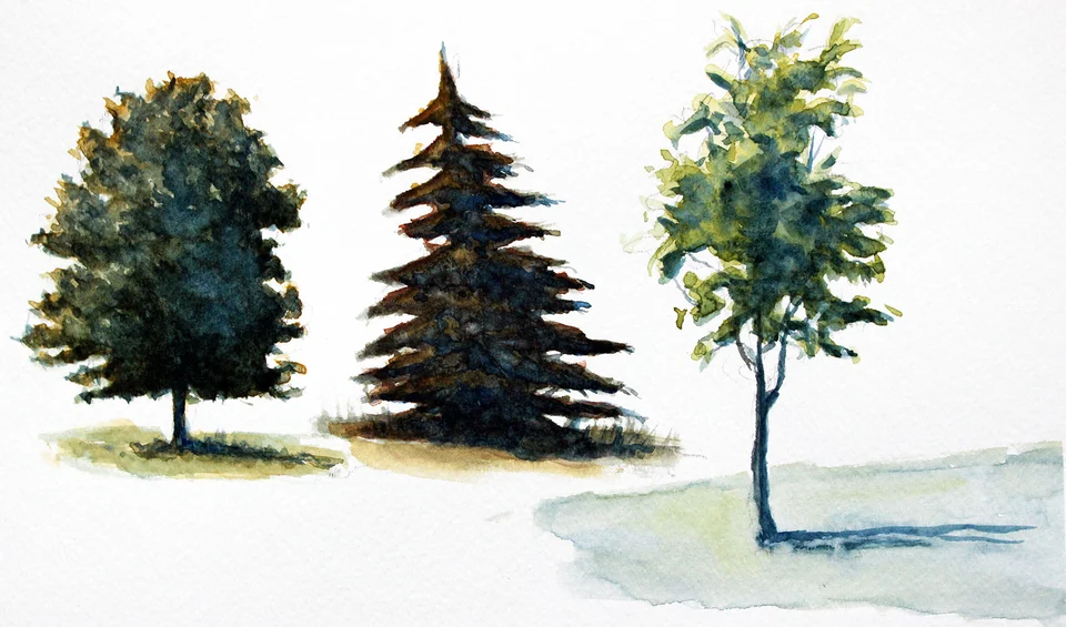 Рисунок дерева акварелью