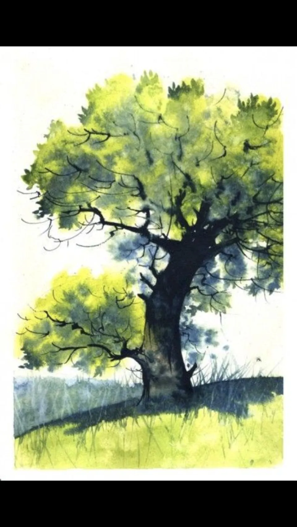 Дерево акварелью