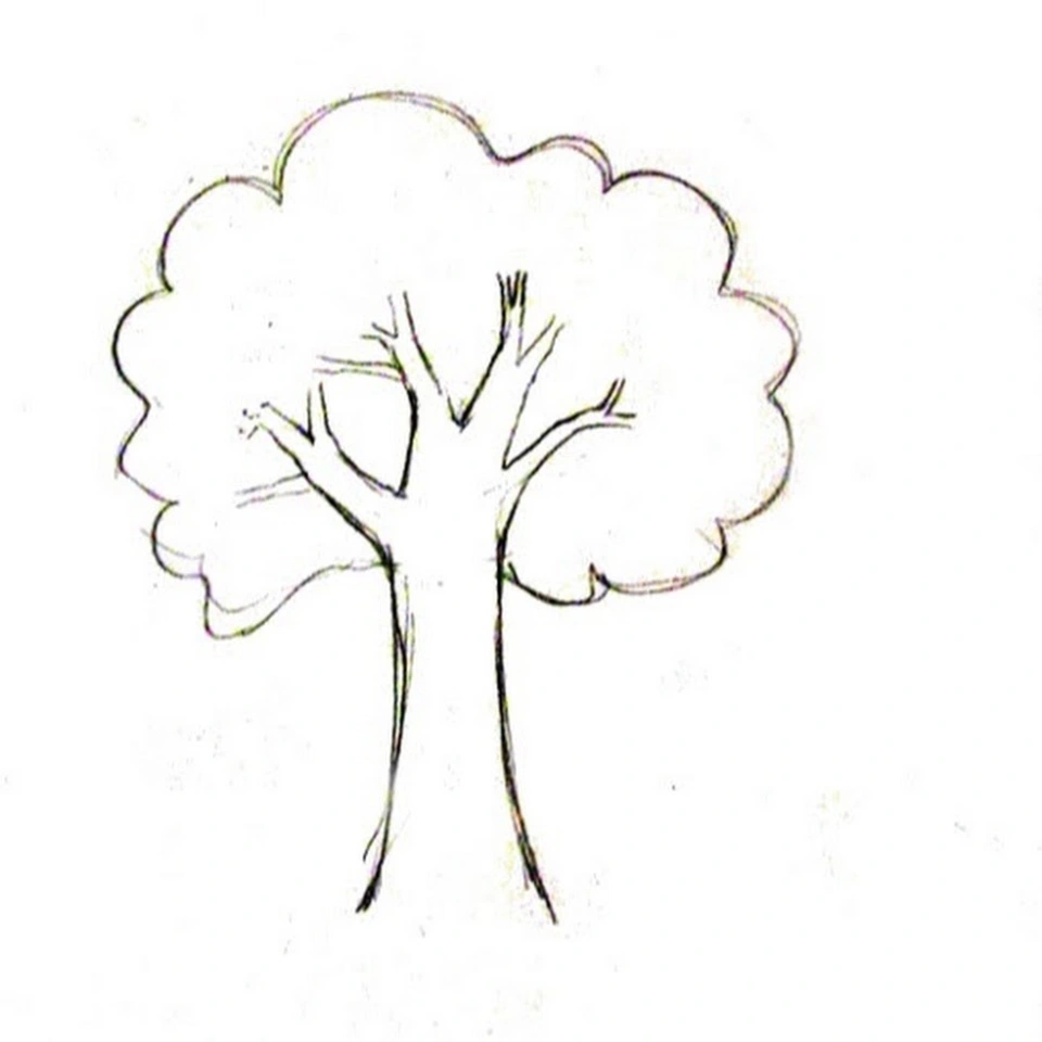 Дерево простым карандашом