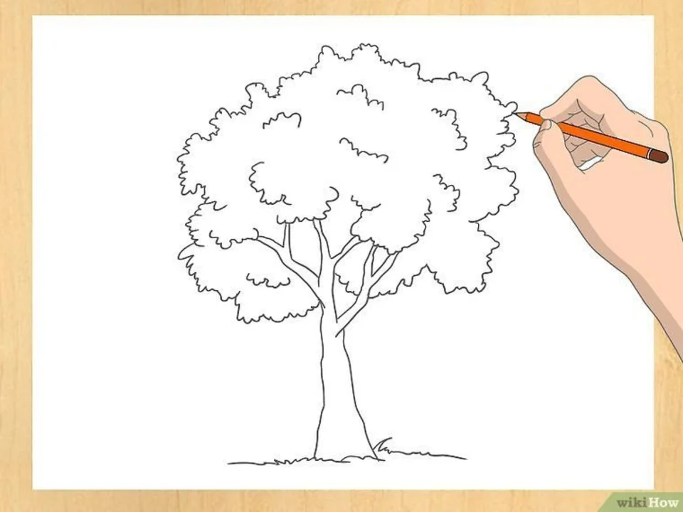 Рисуем дерево карандашом