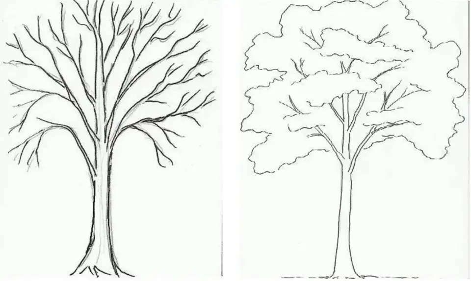 Рисуем дерево