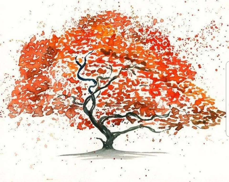 Осеннее дерево карандашом