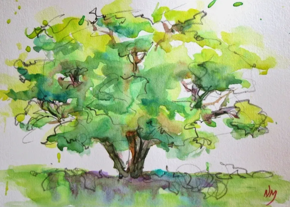 Рисунок дерева акварелью