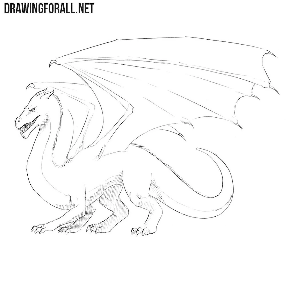 Рисунок карандашом дракон