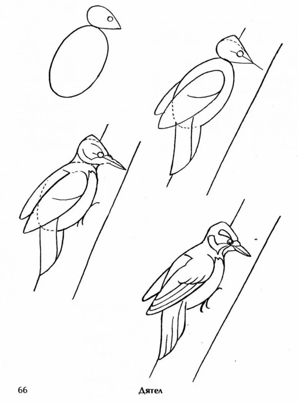 Рисование птиц