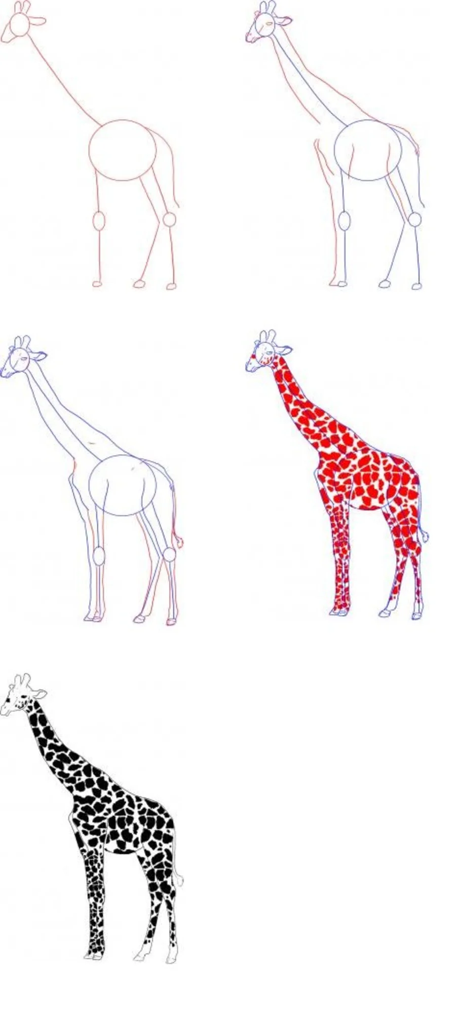 Жираф для рисования детям