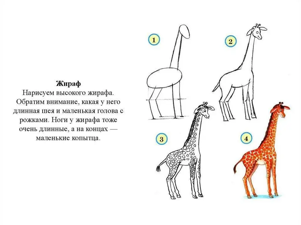 Жираф поэтапное рисование