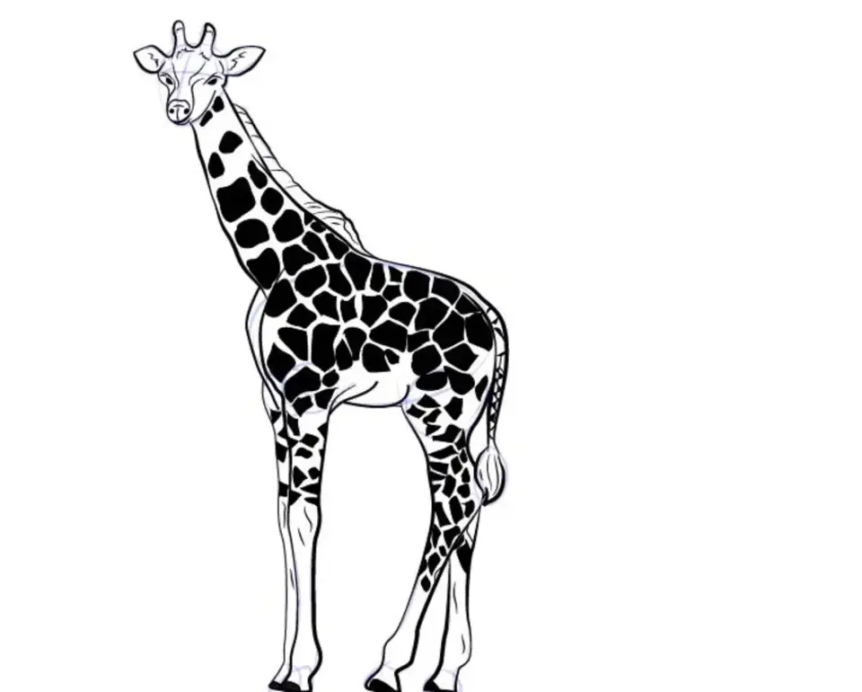 Жирафы вектор