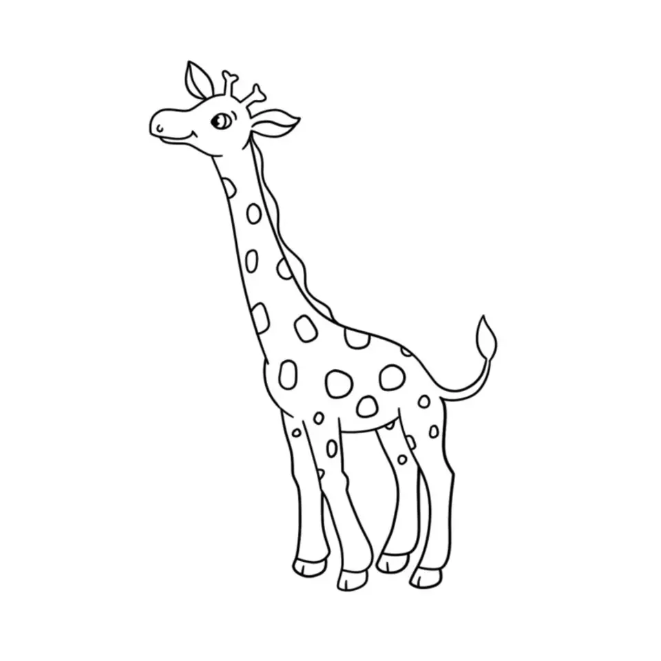 Жираф для раскрашивания