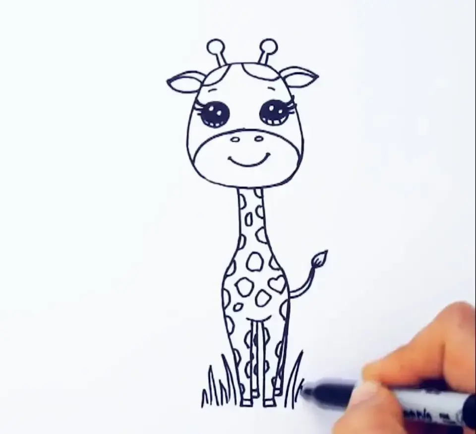 Жираф рисунок для детей карандашом