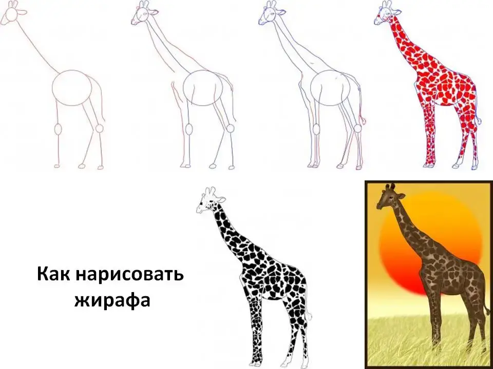 Рисуем жирафа поэтапно для детей