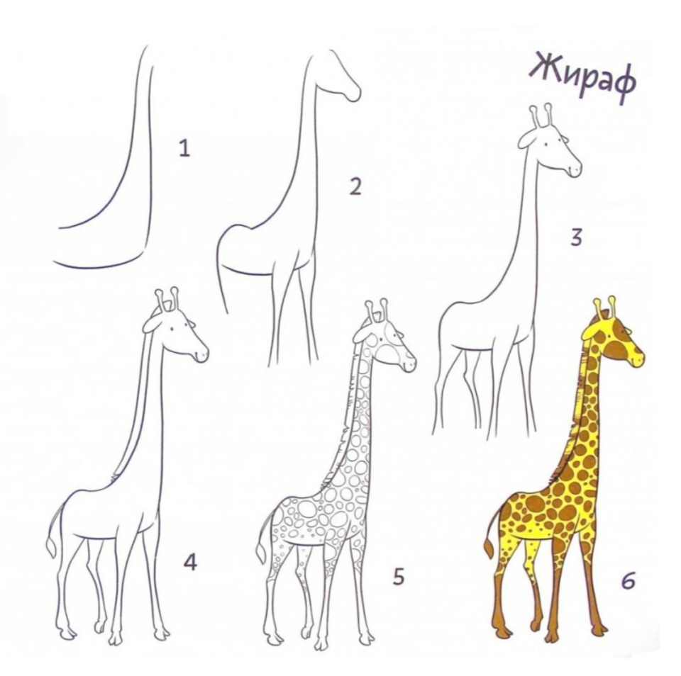 Рисуем жирафа