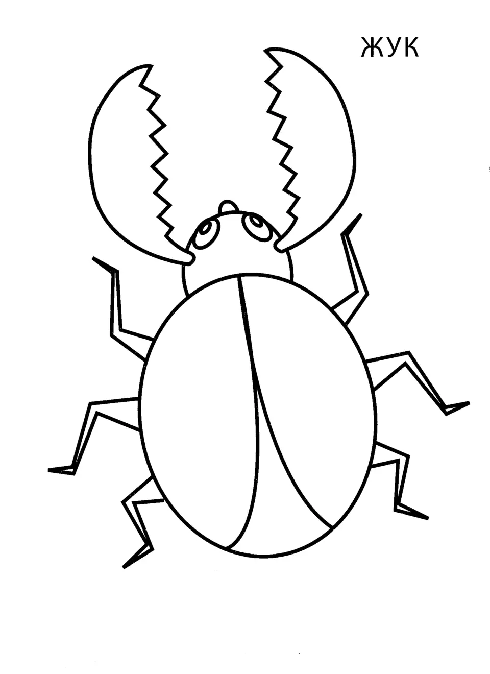 Раскраска майский жук