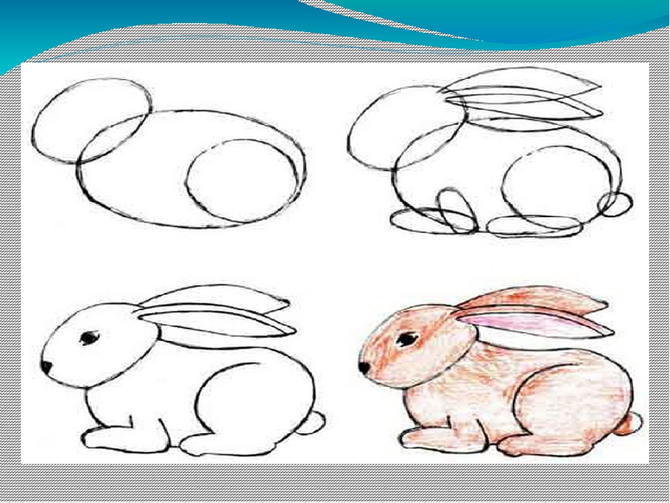 Кролик карандашом поэтапно