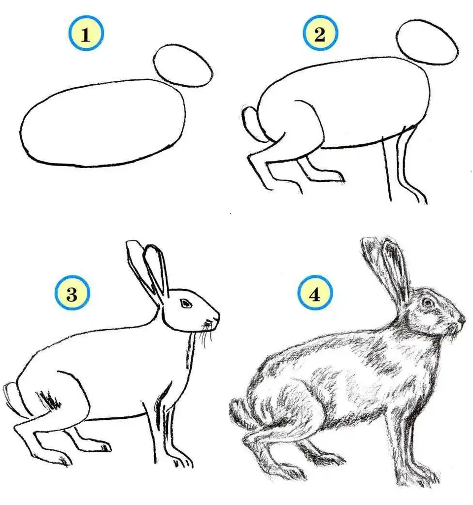 Схема рисования зайца