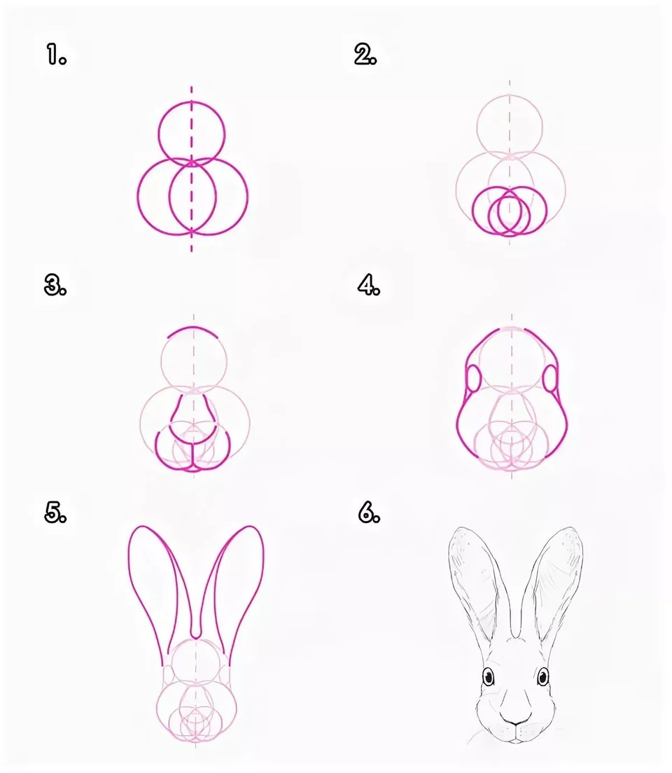 Кролик карандашом поэтапно
