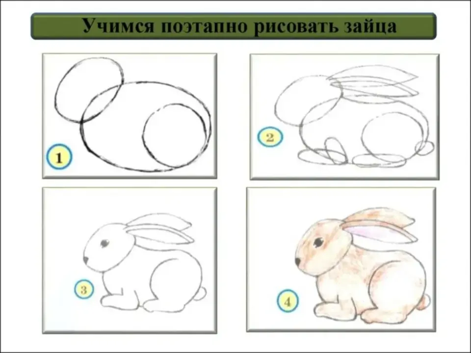 Поэтапное рисование зайца