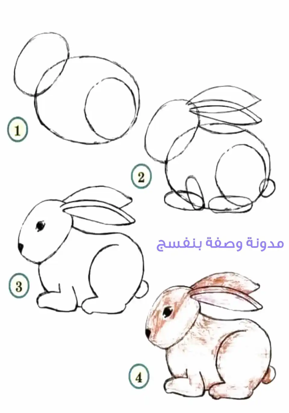 Поэтапное рисование зайца