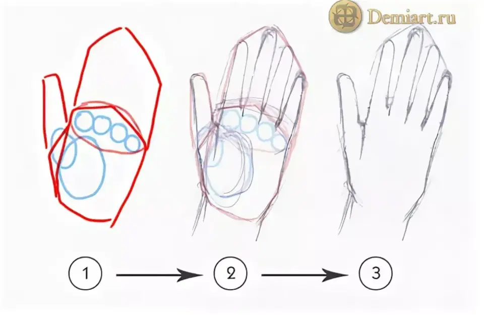 Как нарисовать руки пошагово. Схема рисования рук. Поэтапный рисунок руки. Рисунок кисти руки поэтапный. Поэтапное рисование кисти руки.