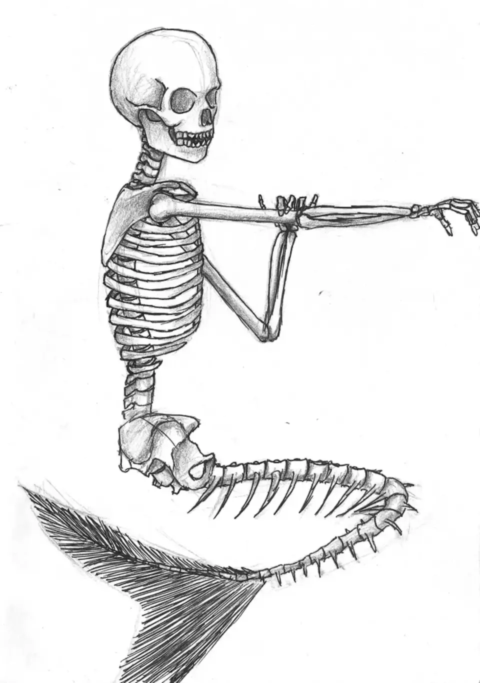 Скелет эскиз