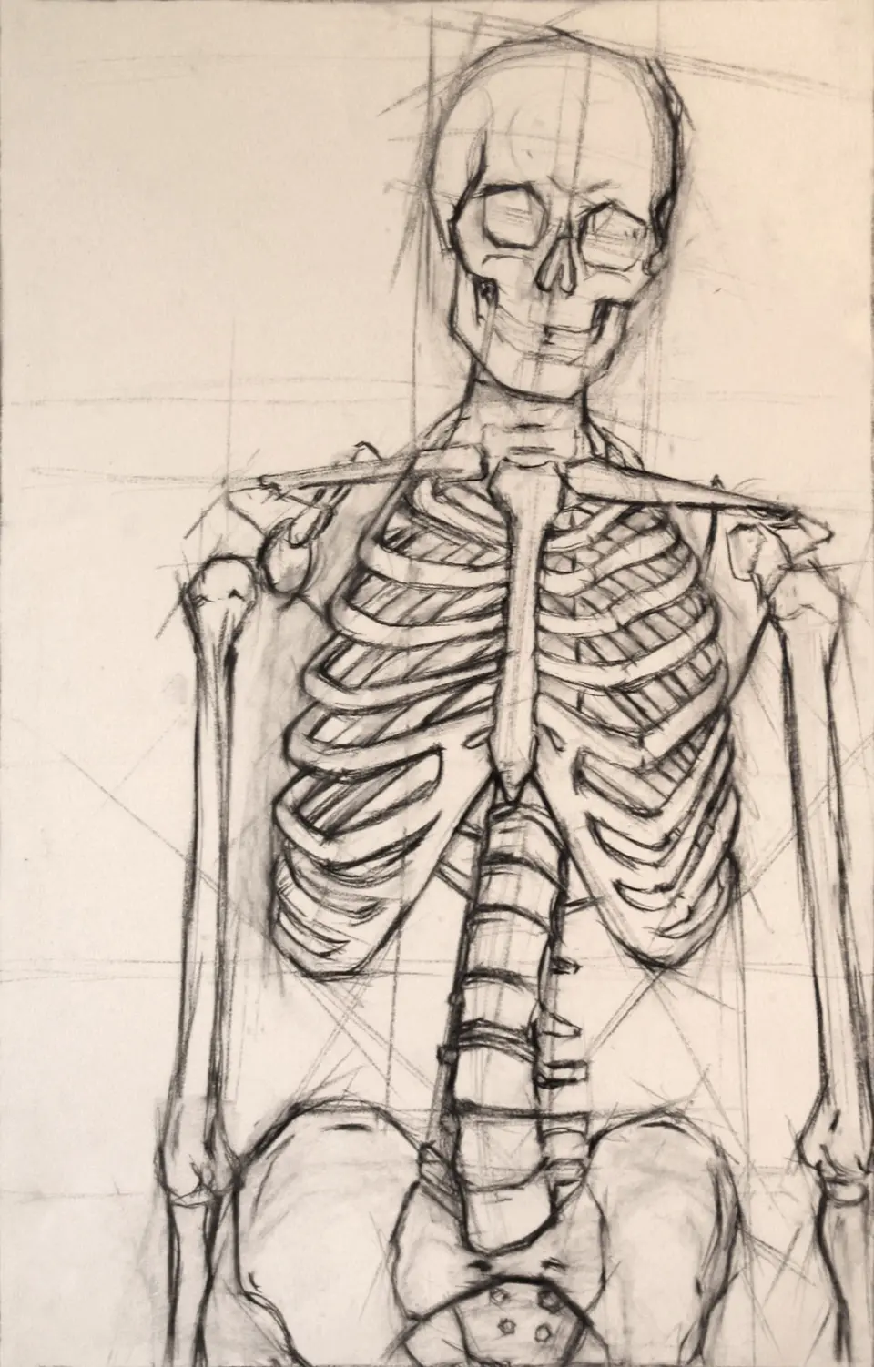 Скелет рисунки