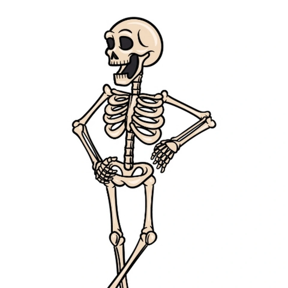 Скелет рисунок для детей