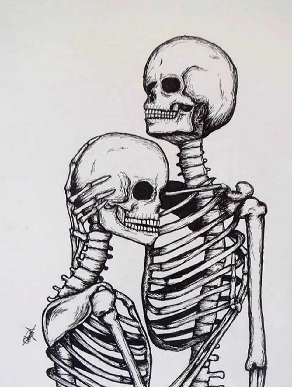 Скелет человека для срисовки