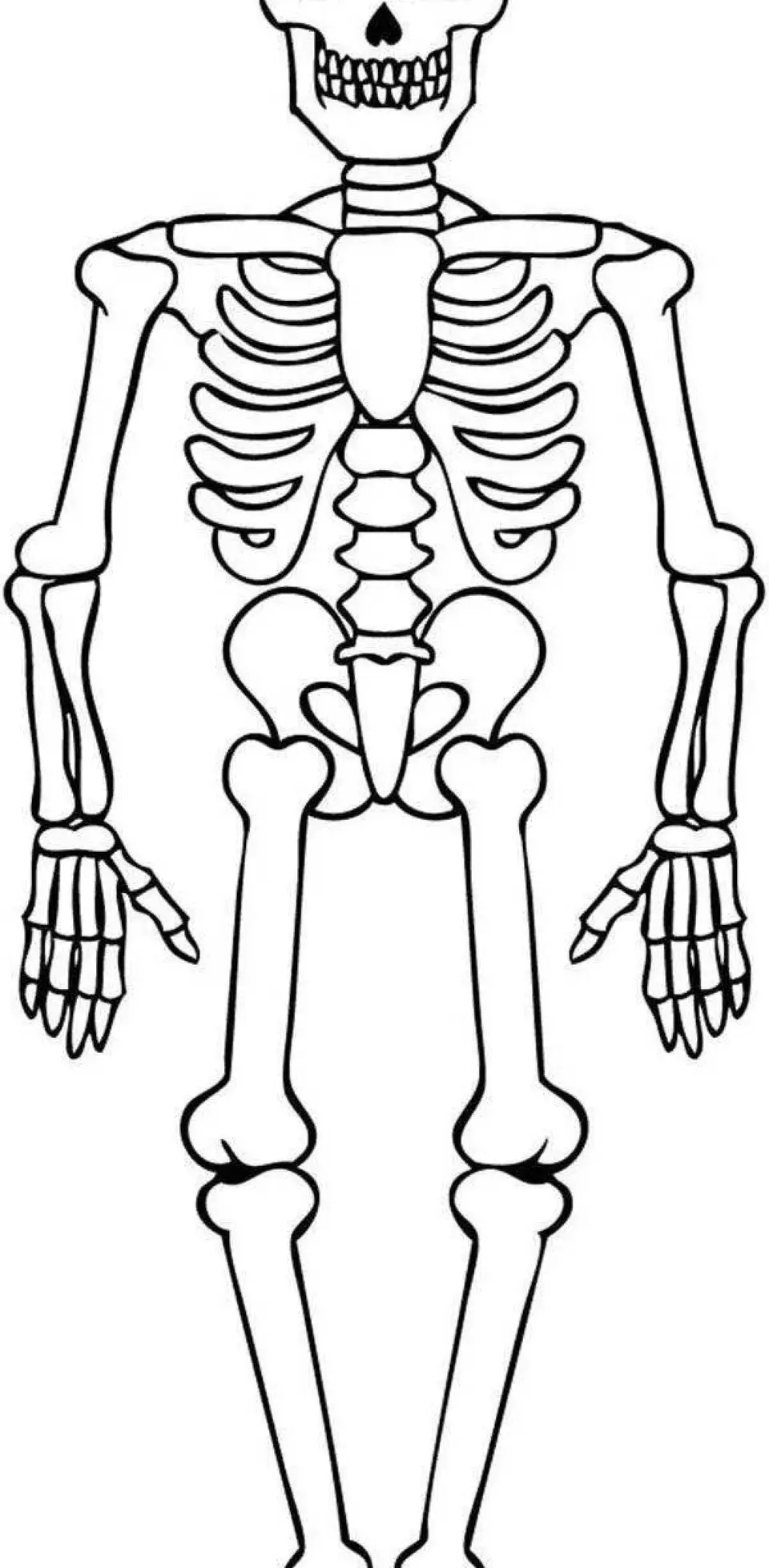 Раскраска скелет человека