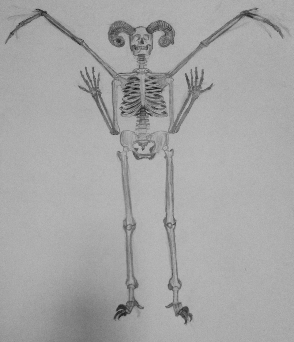 Скелет рисунок легкий