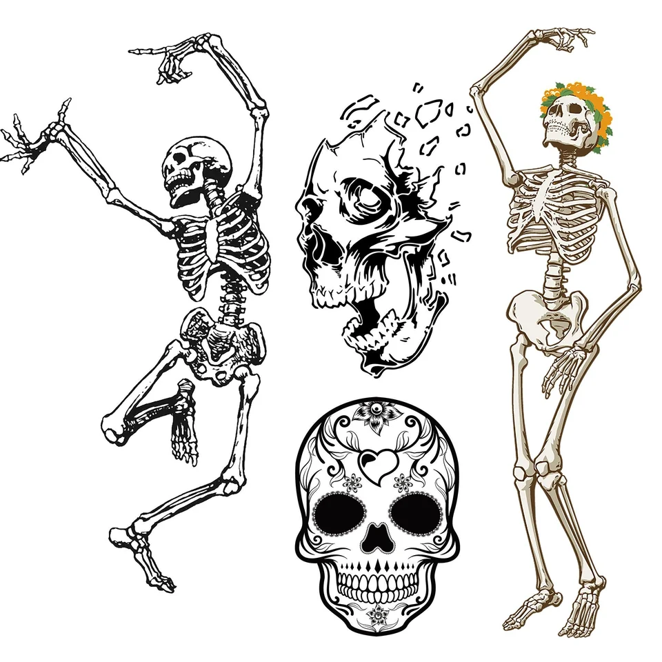Скелет кости