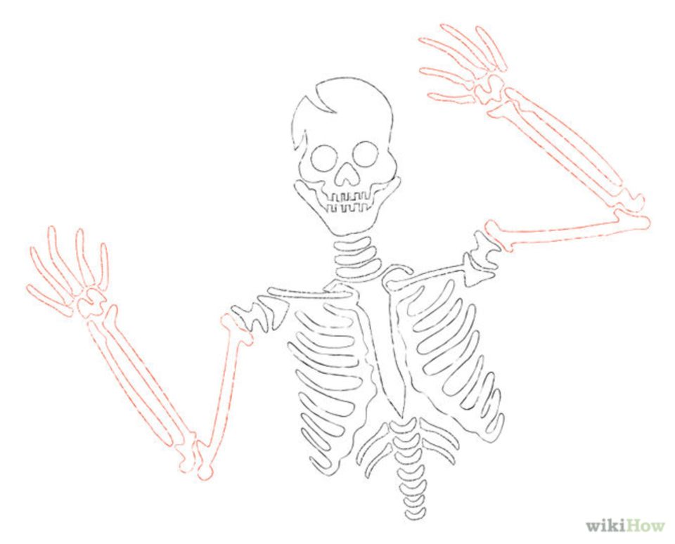 Скелет простой рисунок
