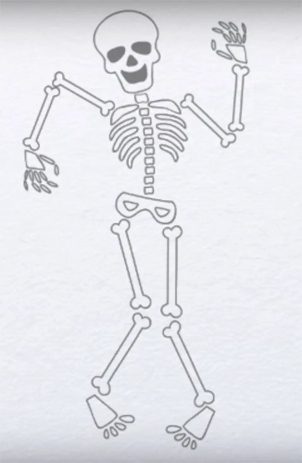 Рисунок скелета