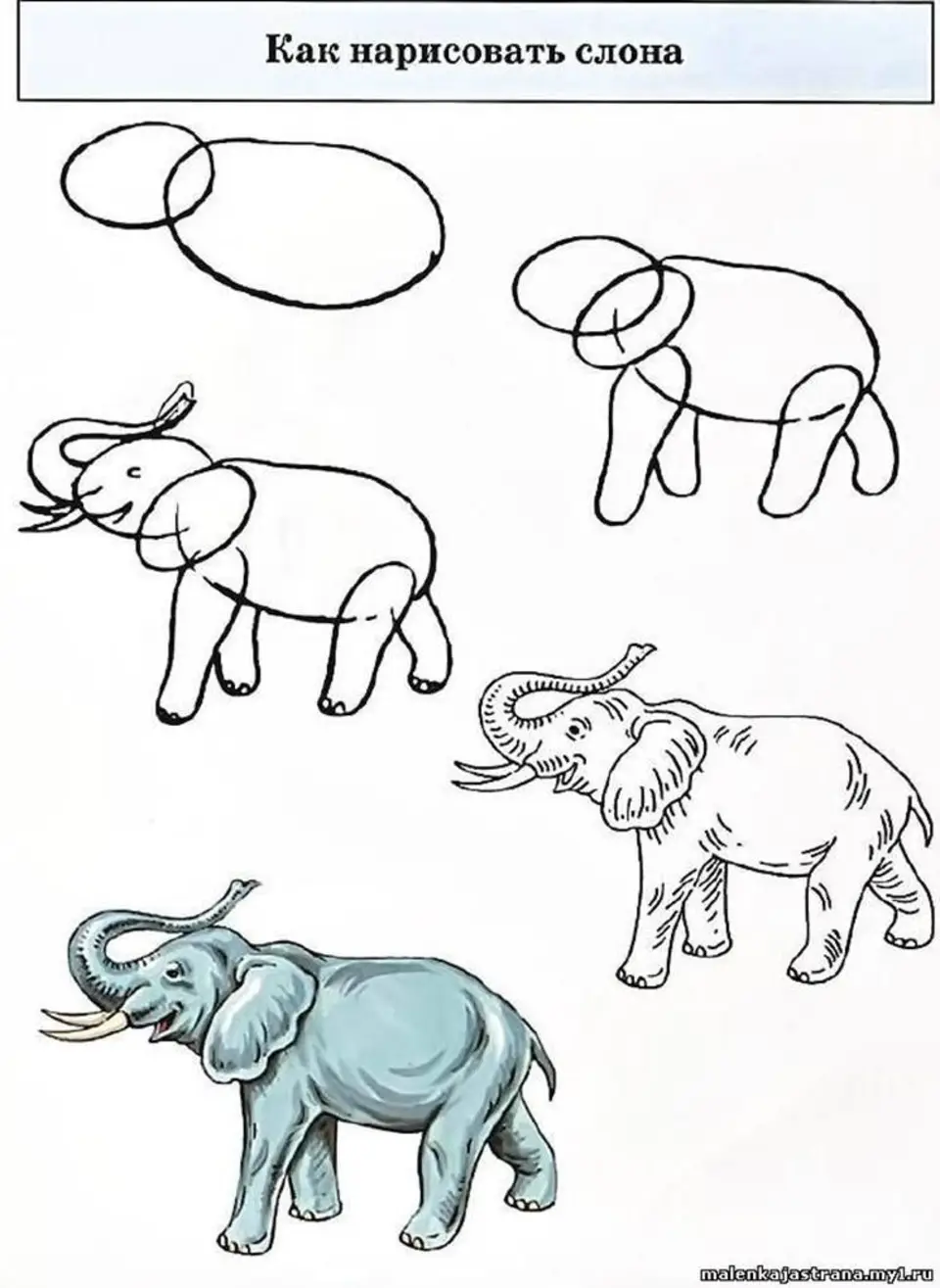 Рисуем слона поэтапно